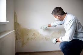 Biohazard Mold Removal in Strathmore, CA